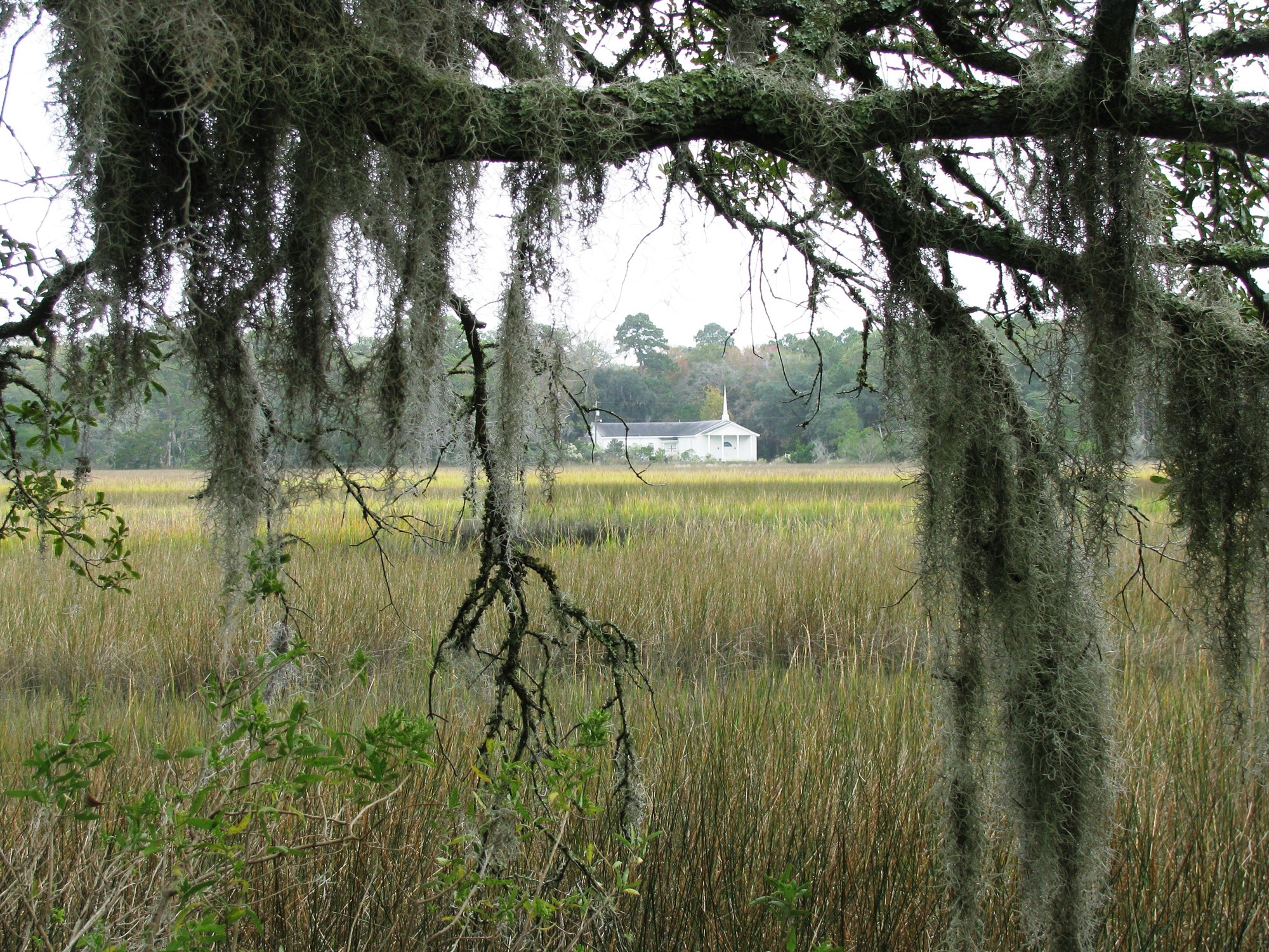 Spartina marsh framed by live oaks and Spanish moss, with a white church beyond, on the Edisto Island Scenic Byway